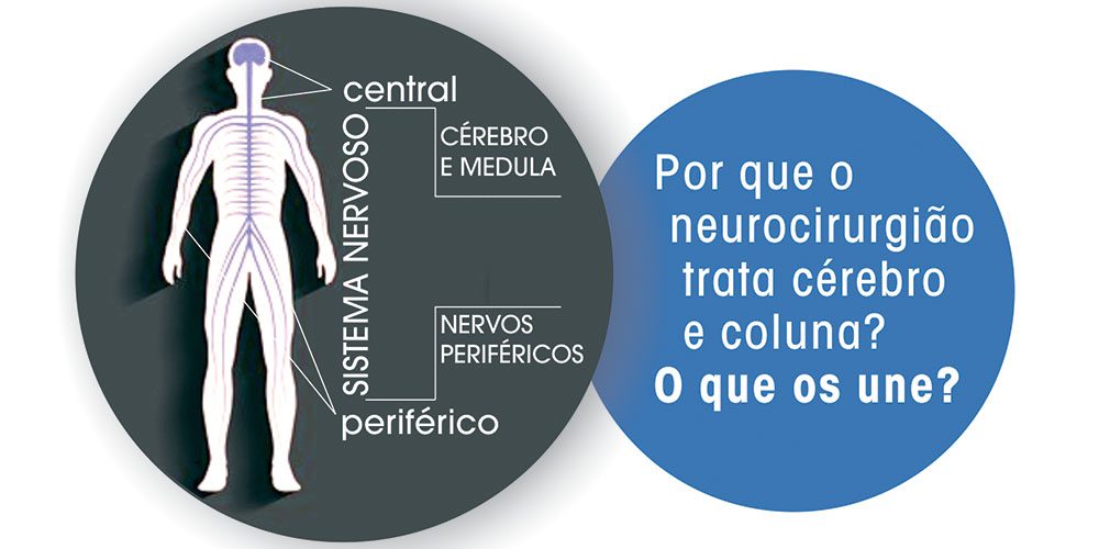 Compreenda a ligação entre inervação e coluna e como o cérebro faz isto tudo funcionar